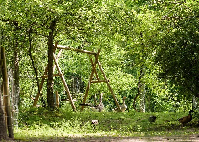 Casa da Eira Lavoura da Bouça - Fruta Bio